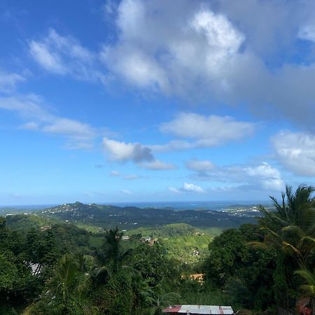 Vue Mer Le François Esterno foto